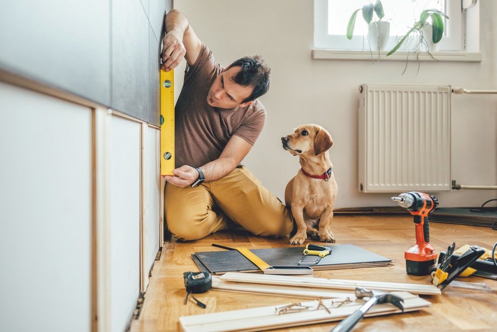 man renovating his house with a dog