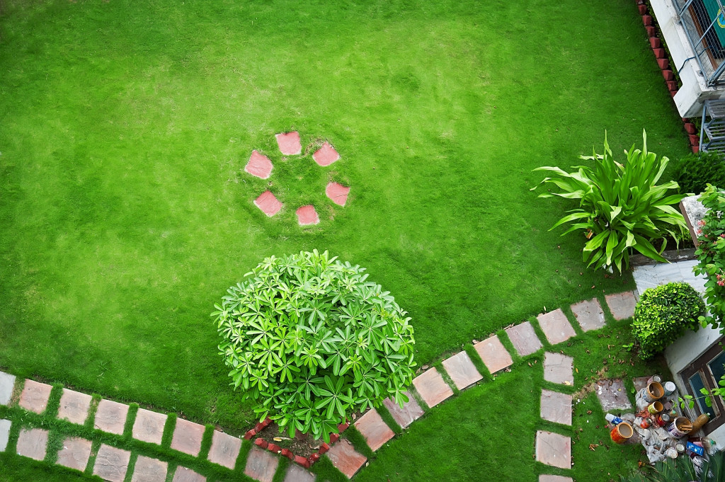 lawn with stone path