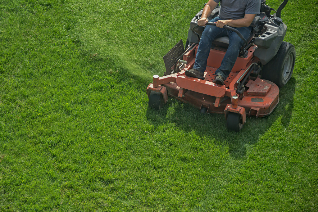 man using a machine for the lawn