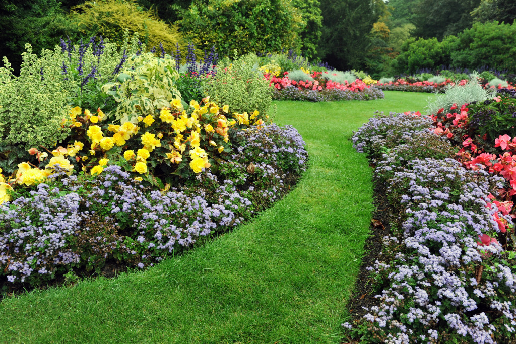 Colourful Flowerbeds and Winding Grass Pathway in an Attractive English Formal Gardenv
